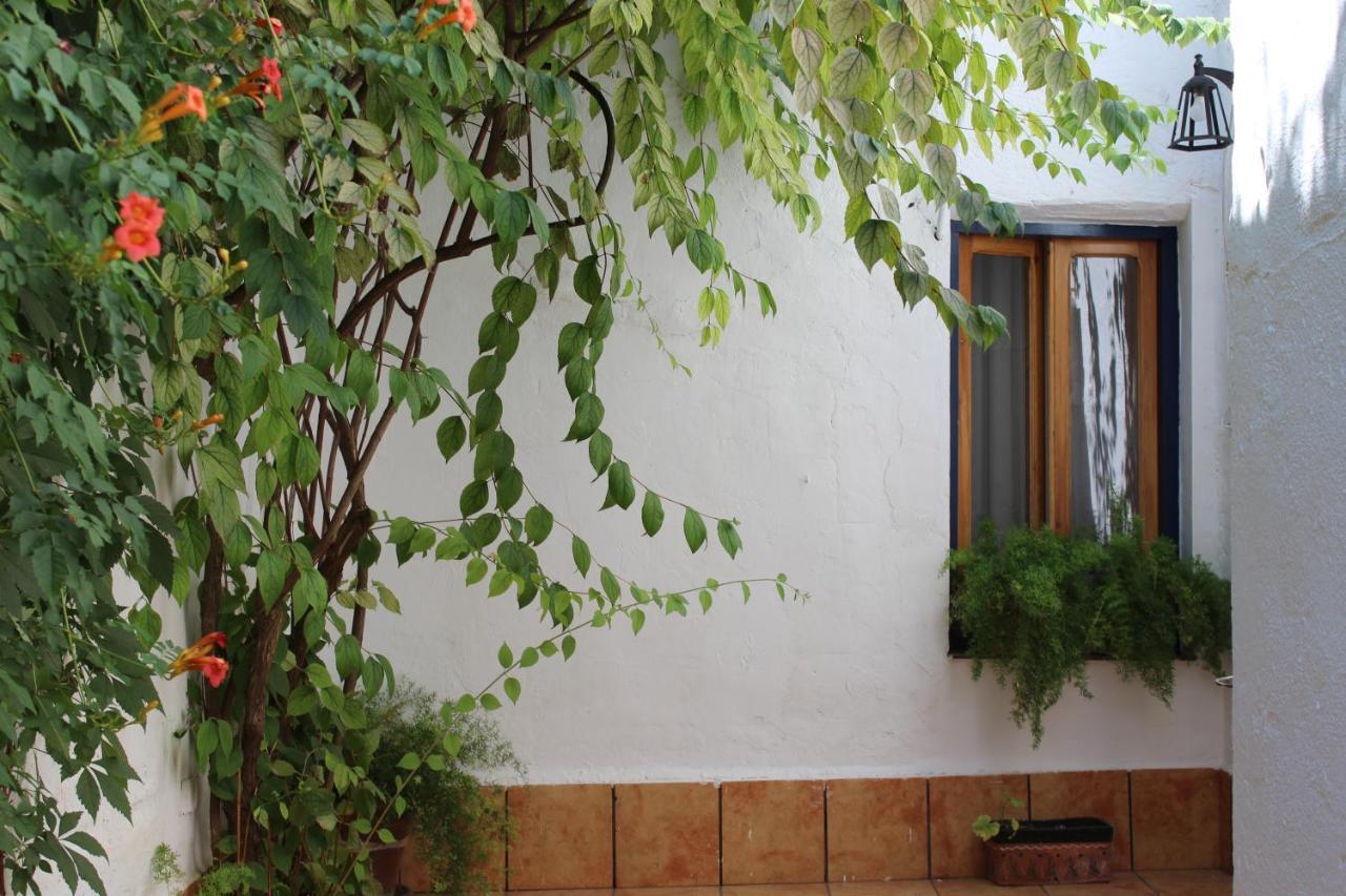 Casa Alcaida Villa Quesada Kültér fotó